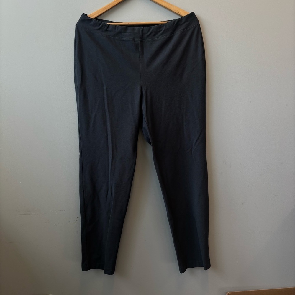 Eileen Fisher Large Pull On Pants Gray Stretch